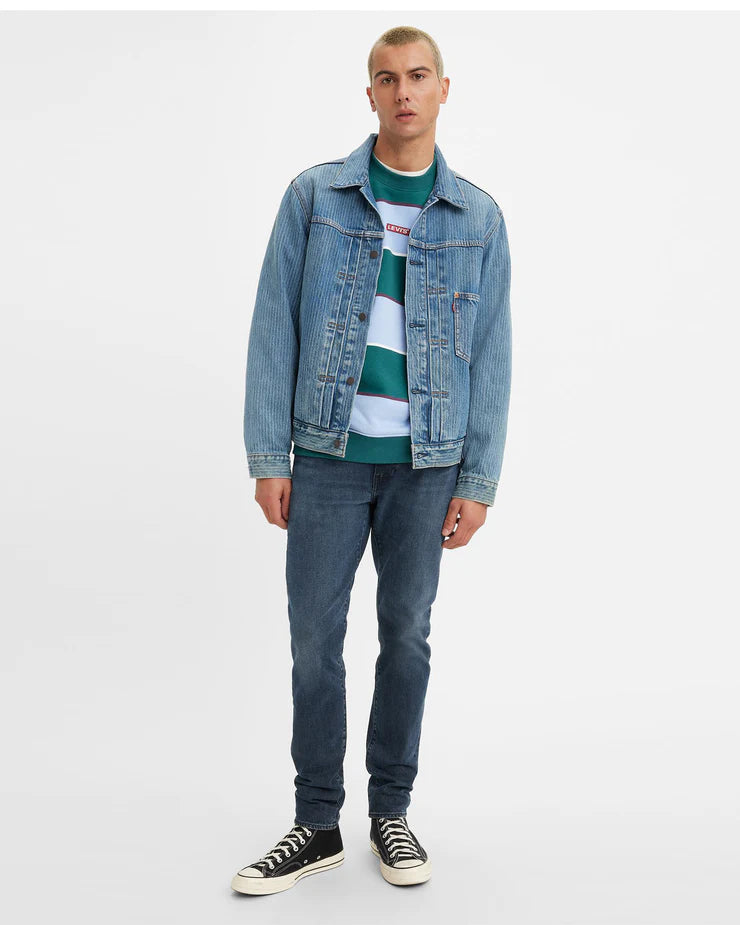 Levis 176 sales